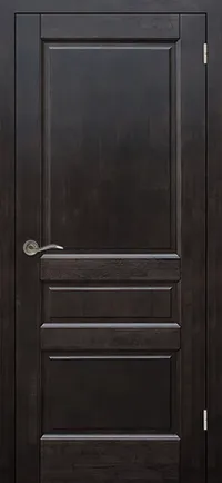 Венеция м. ДГ 800*2000 Венге