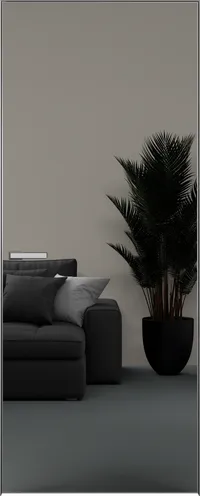 Elen INVISIBLE Вставка зеркало (снаружи) 800*2000 ALU Серая с 4-х зпп Eclipse под 3 петли зпз 196 R пол-ен