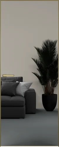 Elen INVISIBLE Вставка зеркало (снаружи) 800*2000 ALU Золотая с 4-х зпп Eclipse под 3 петли зпз 196 R пол-ен (43)